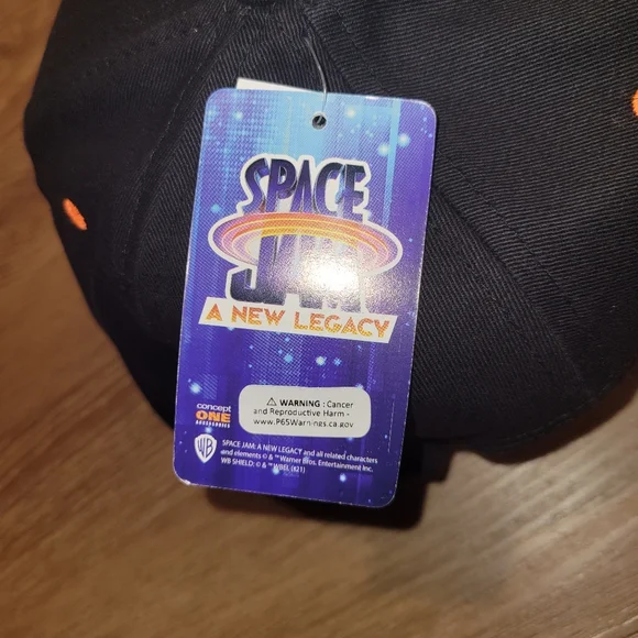 Space Jam A New Legacy Tune Squad Logo Snapback Hat Cap Lebron Jordan Basktball - Picture 3 of 7